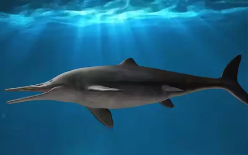 Can We Keep Ichthyosaurus As Our Pet