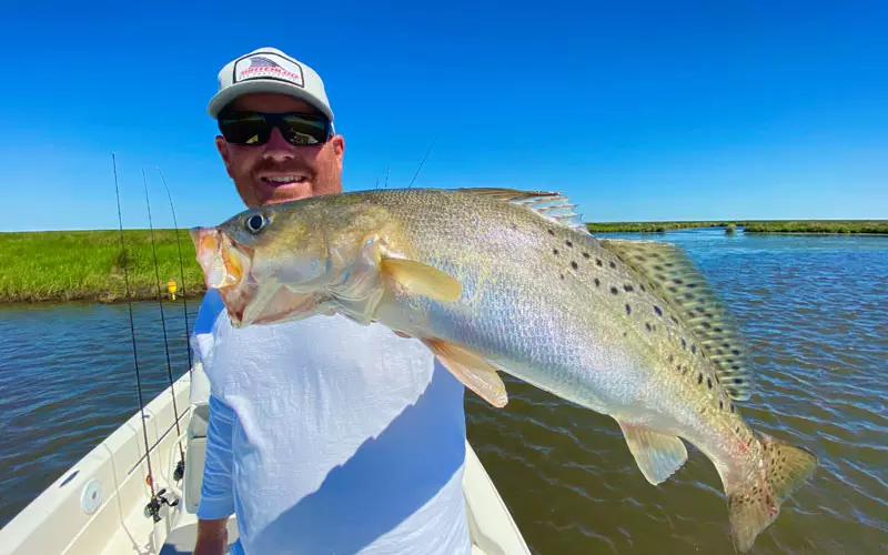 Classification Of Speckled Trout