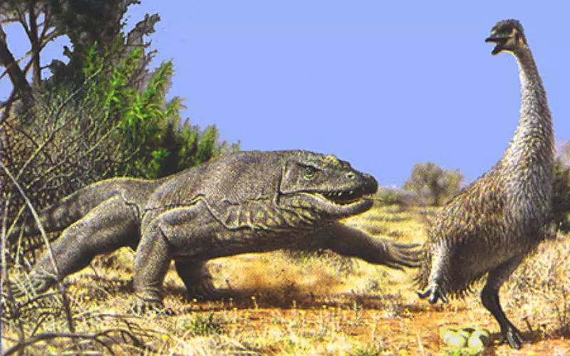 Diet Of Megalania