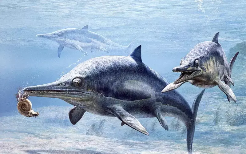 Evolution Of Ichthyosaurus