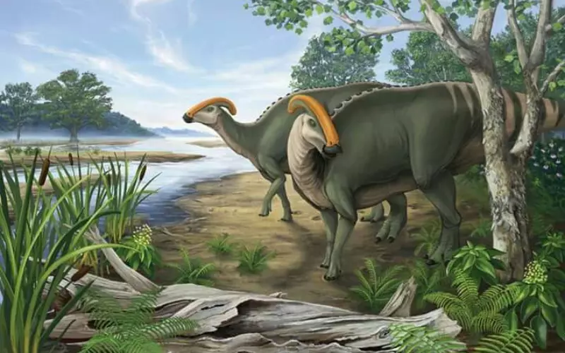 Geographical Presence Of Parasaurolophus