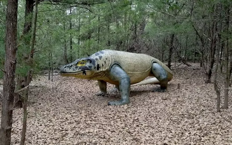 Habitat Of Megalania