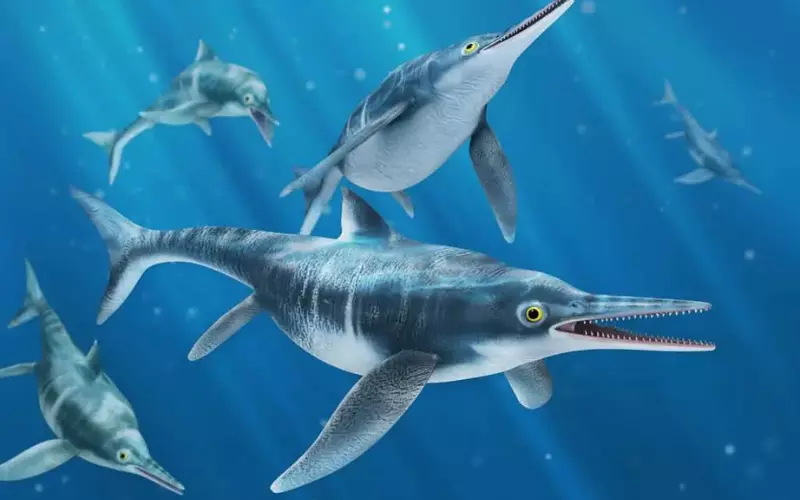 Importance Of Ichthyosaurus