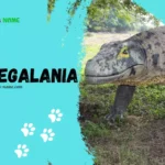 Megalania