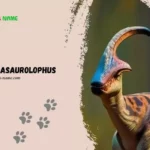 Parasaurolophus