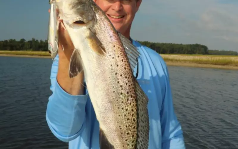 Population Of Speckled Trout
