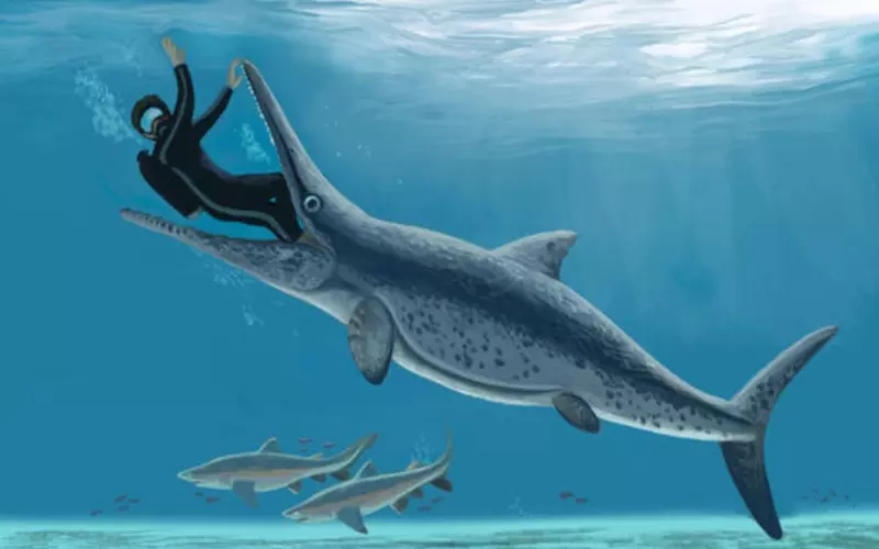 Reproduction And Lifecycle Of Ichthyosaurus