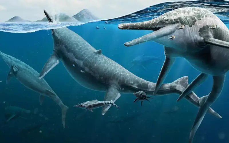 Size Of Ichthyosaurus