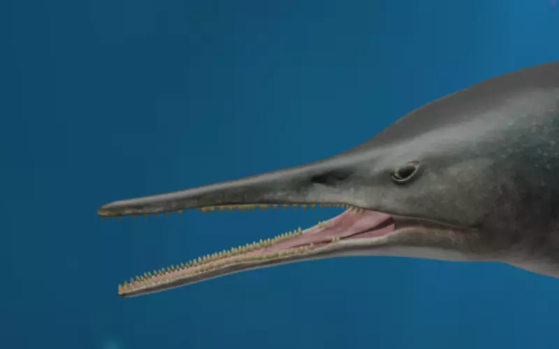 Threats To Ichthyosaurus