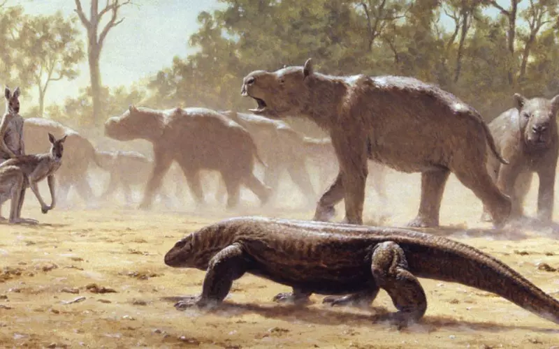 Threats To Megalania