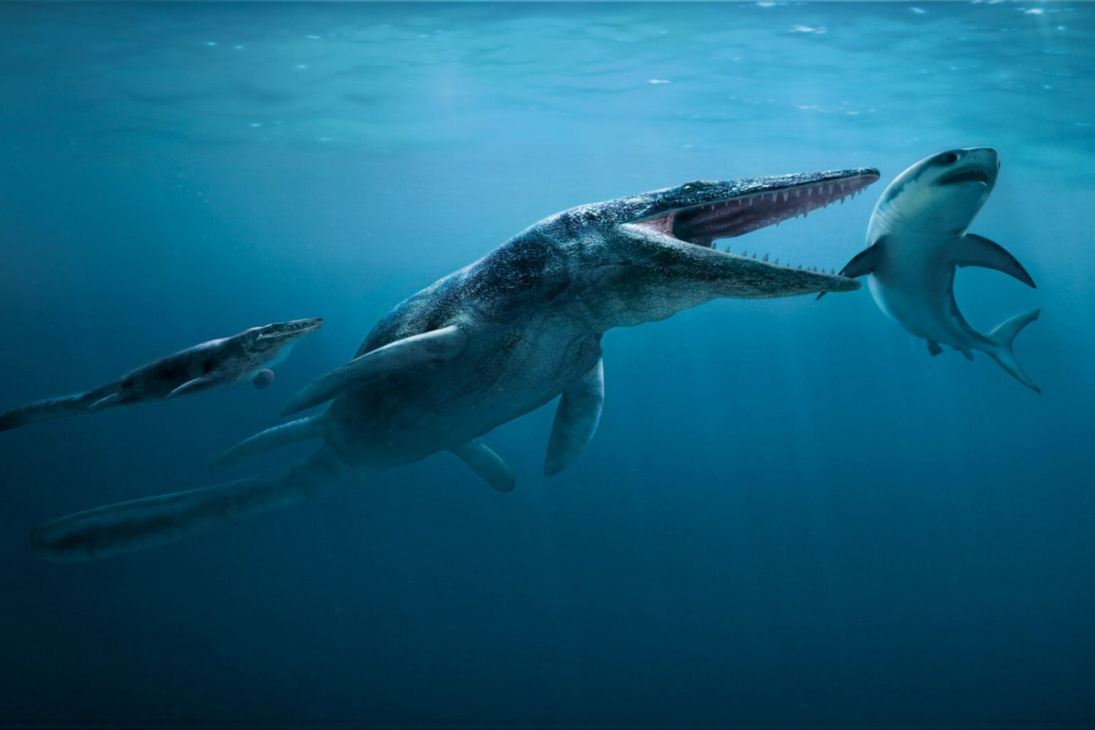 Tylosaurus: History, Facts, Size, Habitat, Classification & Much More ...